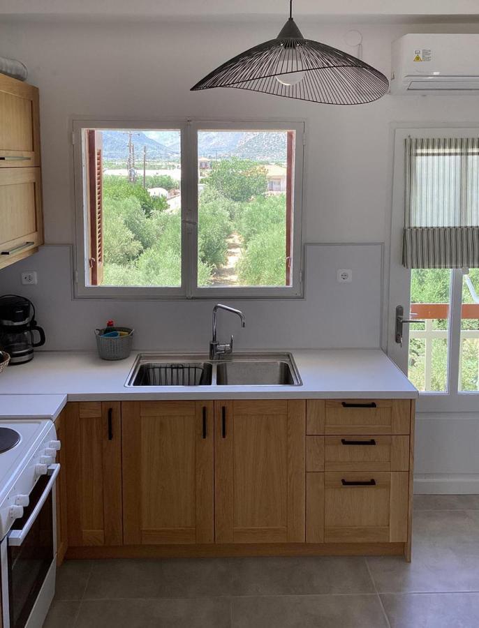 Thassa Beach Apartment No1 Leonídion エクステリア 写真